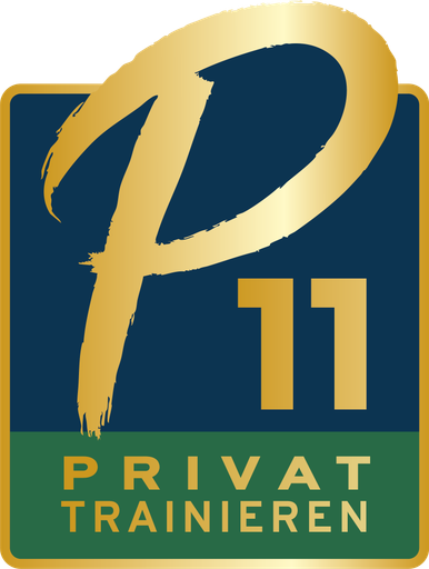 B2B Franchise P11 Logo